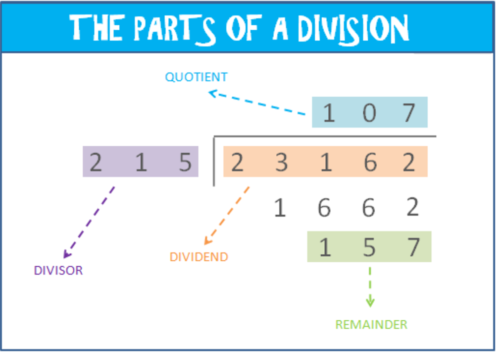 learn-how-to-divide-with-3-digit-numbers-elementary-math