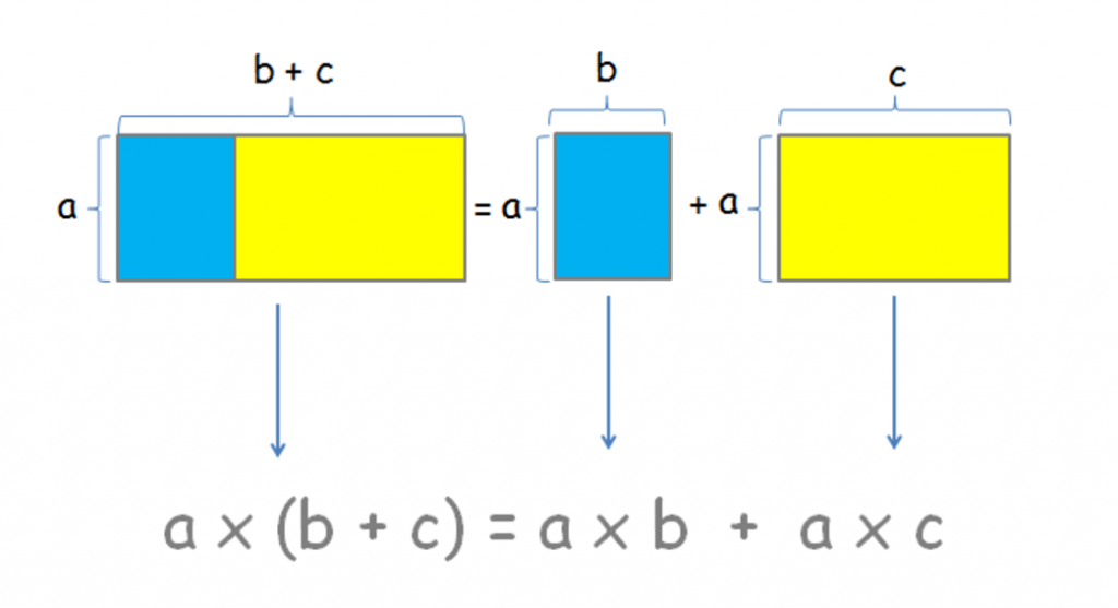 learn-about-the-distributive-property-of-multiplication-elementary-math