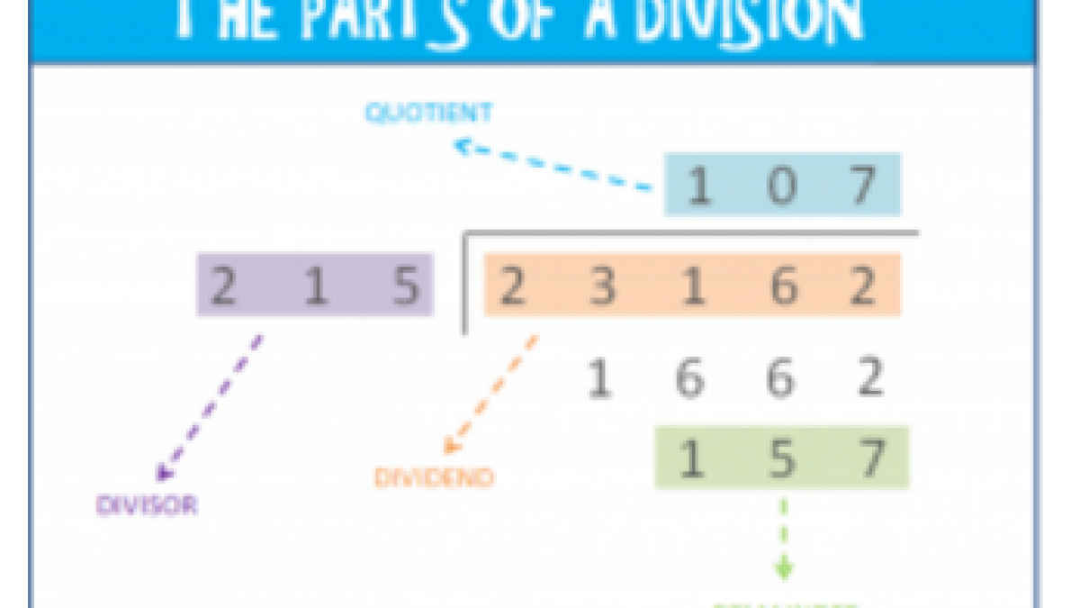 learn how to divide with 3 digit numbers elementary math