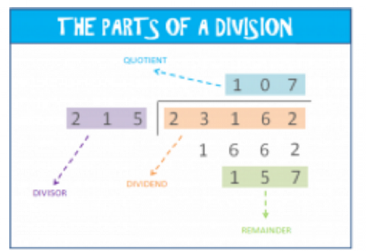 learn how to divide with 3 digit numbers elementary math