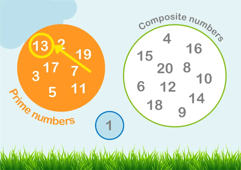  An illustration showing prime numbers and composite numbers. The prime numbers, including 13 highlighted with an arrow, are in an orange circle. Composite numbers are in a green circle. The number 1 is in a separate blue circle. The prime numbers listed are 2, 3, 5, 7, 11, 13, 17, and 19. The composite numbers listed are 4, 6, 8, 9, 10, 12, 14, 15, 16, 18, and 20.