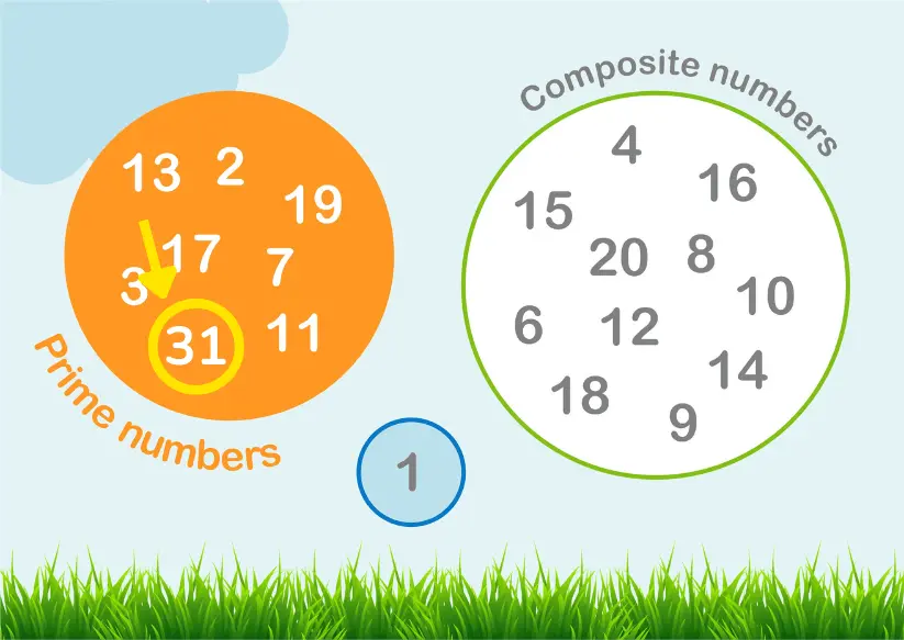 A colorful chart showing prime numbers on the left, with the number 31 highlighted and indicated by an arrow, and composite numbers on the right.