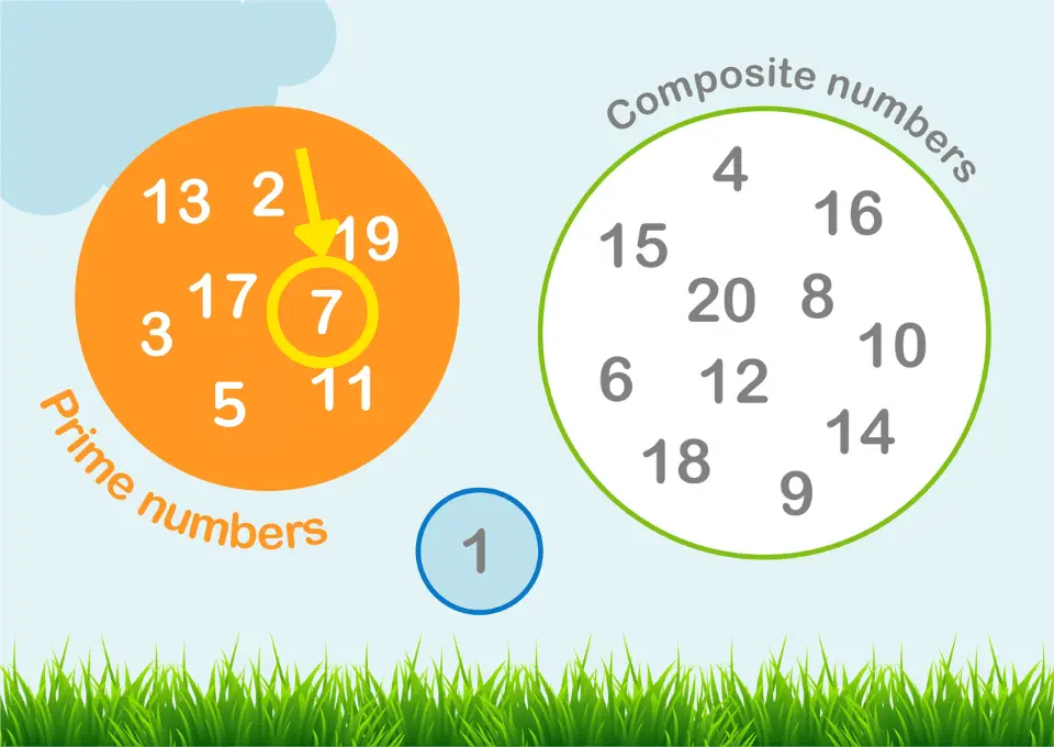 An illustration showing prime numbers and composite numbers. The prime numbers, including 7 highlighted with an arrow, are in an orange circle. Composite numbers are in a green circle. The number 1 is in a separate blue circle. The prime numbers listed are 2, 3, 5, 7, 11, 13, 17, and 19. The composite numbers listed are 4, 6, 8, 9, 10, 12, 14, 15, 16, 18, and 20.